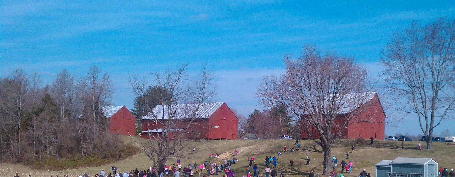 Farm in Anne Arundel County